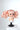 Doll Wig [Style: C75] Gloss Powder Pink B114