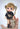 かまってちゃんドール スタンダードサイズ【プレミアムⅦ】フルセット