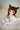 【新作】ピリカちゃん ミディサイズ【プレミアムⅦ】フルセット